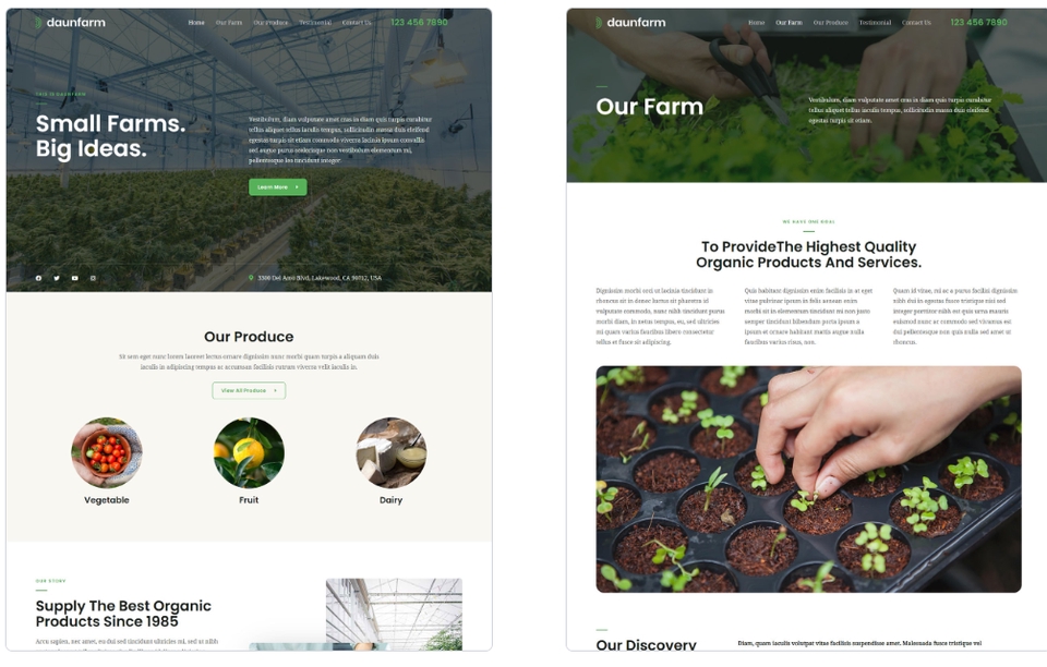 Web Development - Jasa Pembuatan Website Perusahaan Eksport - 3