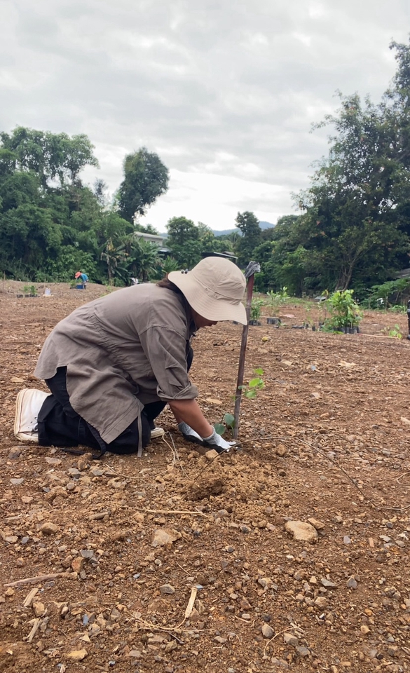 เน็ตไอดอลและบล็อกเกอร์รีวิว - รับรีวิวผลิตภัณฑ์ บริการ หรือโครงการ เกี่ยวกับสิ่งแวดล้อม การเกษตร ปลูกต้นไม้ ยั่งยืน gogreen - 10