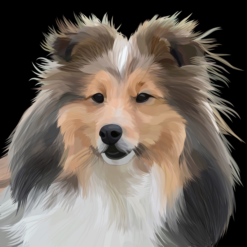 Gambar Potret - Jasa Membuat Vektor Pet Menarik - 5