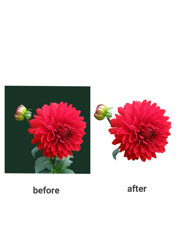 Jasa photoshop edit foto, ganti background foto online, hapus background foto online, edit foto pernikahan, edit foto wedding, edit foto prewedding, edit foto produk, jasa edit foto online, edit foto online.