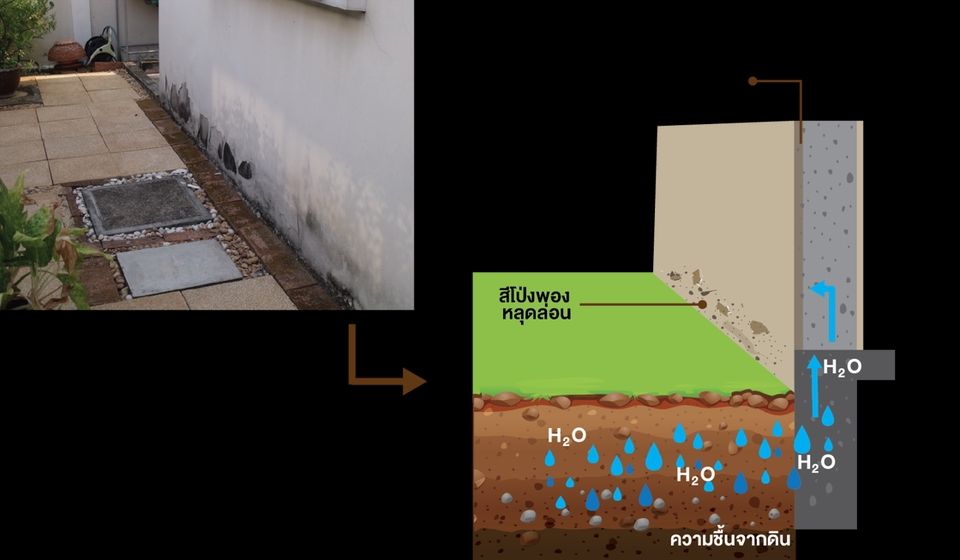 ออกแบบ canva ทําโปสเตอร์ canva รับทำ canva การรั่วซึมของน้ำ ผ่านผนัง