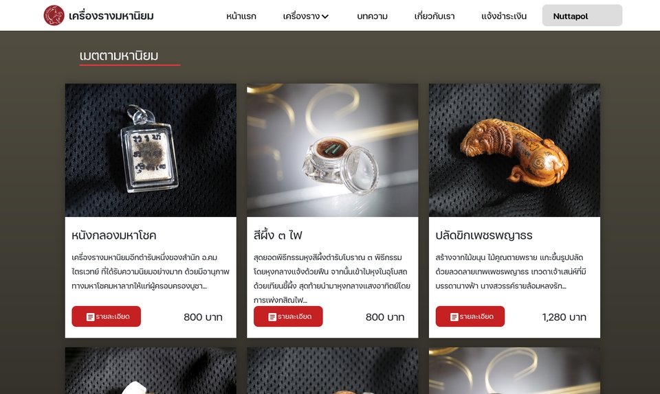 Web Development - รับเขียน Web application & Mobile Apps - 9