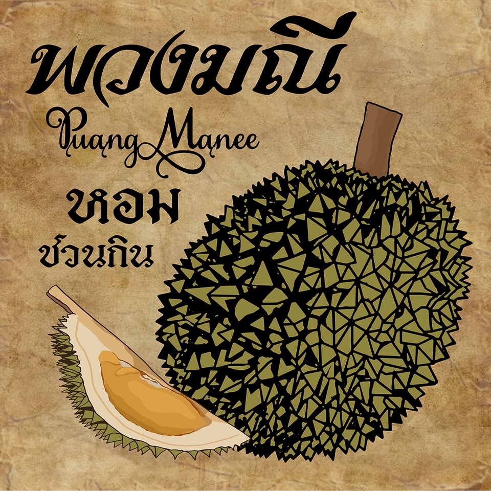 รับวาดภาพประกอบ ผลไม้เมืองร้อน ทุเรียน พวงมณี วาดภาพดิจิตอลเพ้นท์ ภาพประกอบสินค้า