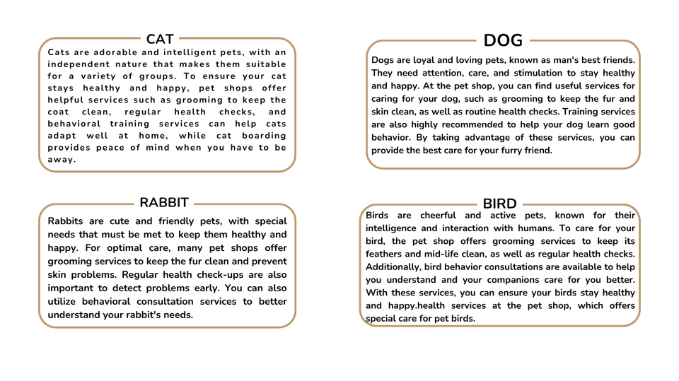 Web Development - Design Website - 6