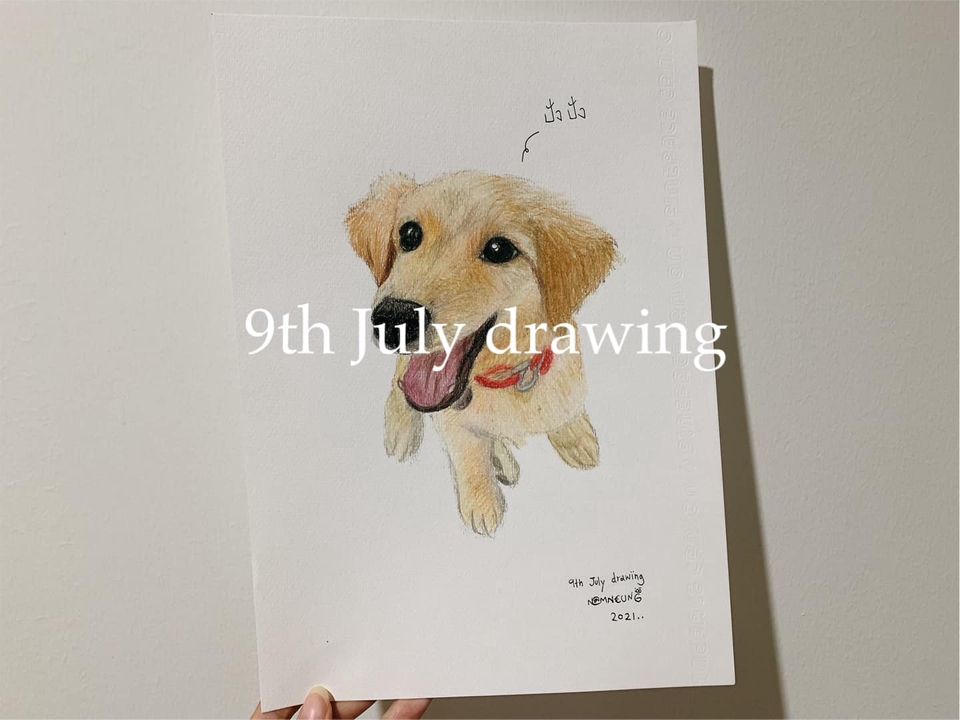วาดภาพเหมือน Portrait - 9th July drawing : รับวาดภาพเหมือนสัตว์เลี้ยงตามสั่ง ภาพเหมือนสีไม้ - 7