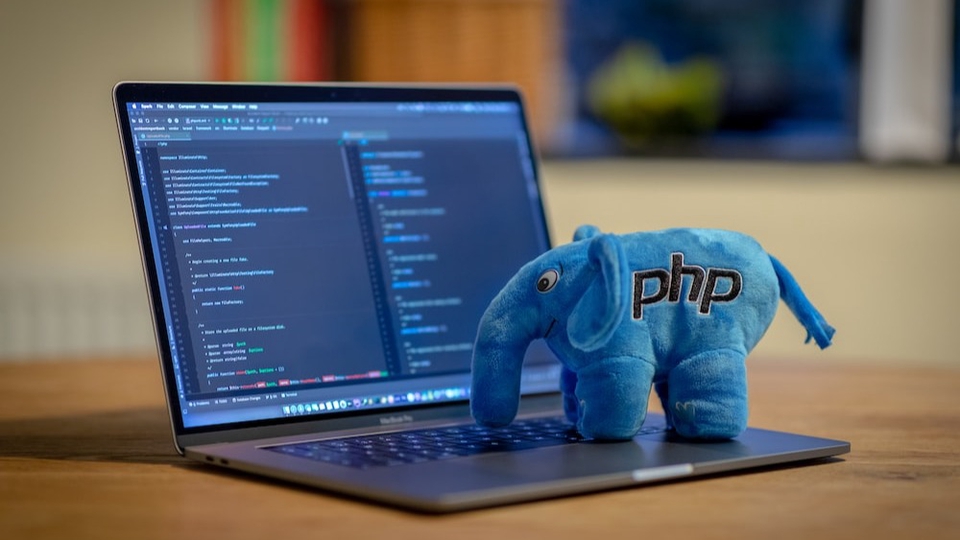 Web Development - พัฒนาเว็บไซต์ PHP / MySQL - 1