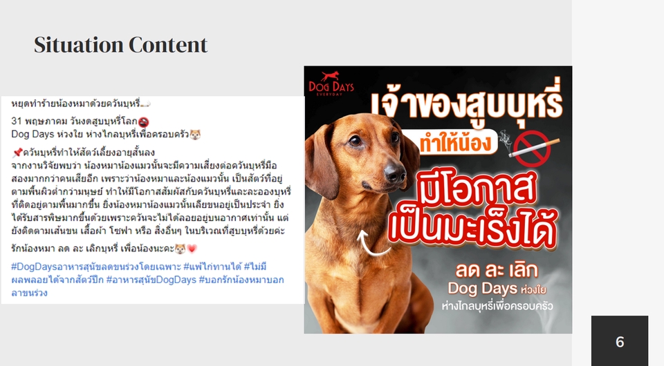 Creative & Content Marketing - Value Content & Copywriting - 3