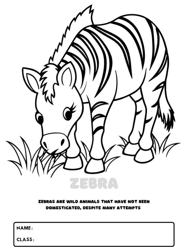 Jasa Ilustrasi Hewan: Ilustrasi Zebra Kartun Lucu untuk Anak-anak, cocok untuk keperluan buku cerita anak, kartu ucapan, desain kaos, dan dekorasi ruangan anak.