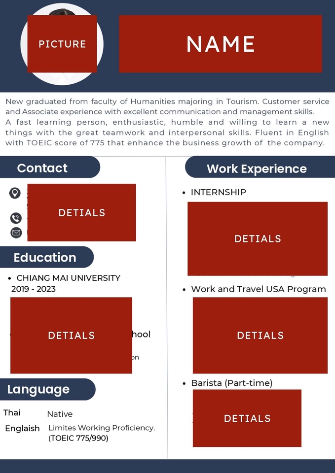Portfolio & Resume - Profesional Resume - 4
