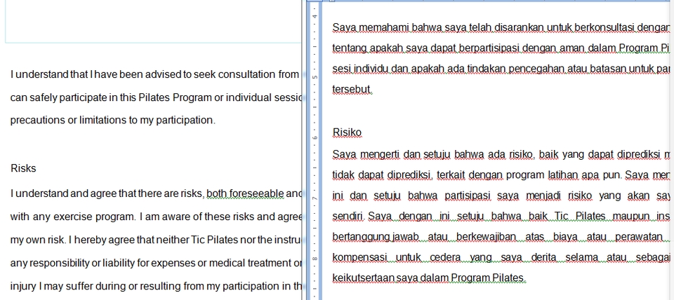 Penerjemahan - Translate Eng-Indo & Indo-Eng - 3