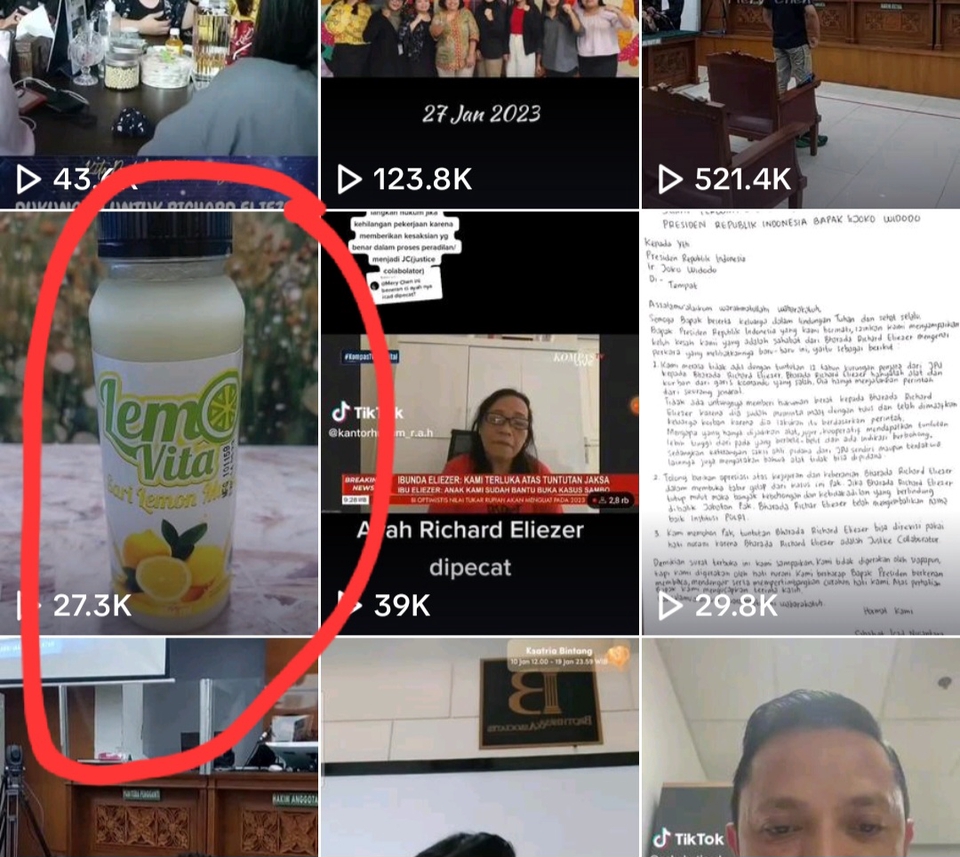 Selebgram/ Socmed - Posting video di TikTok - 4
