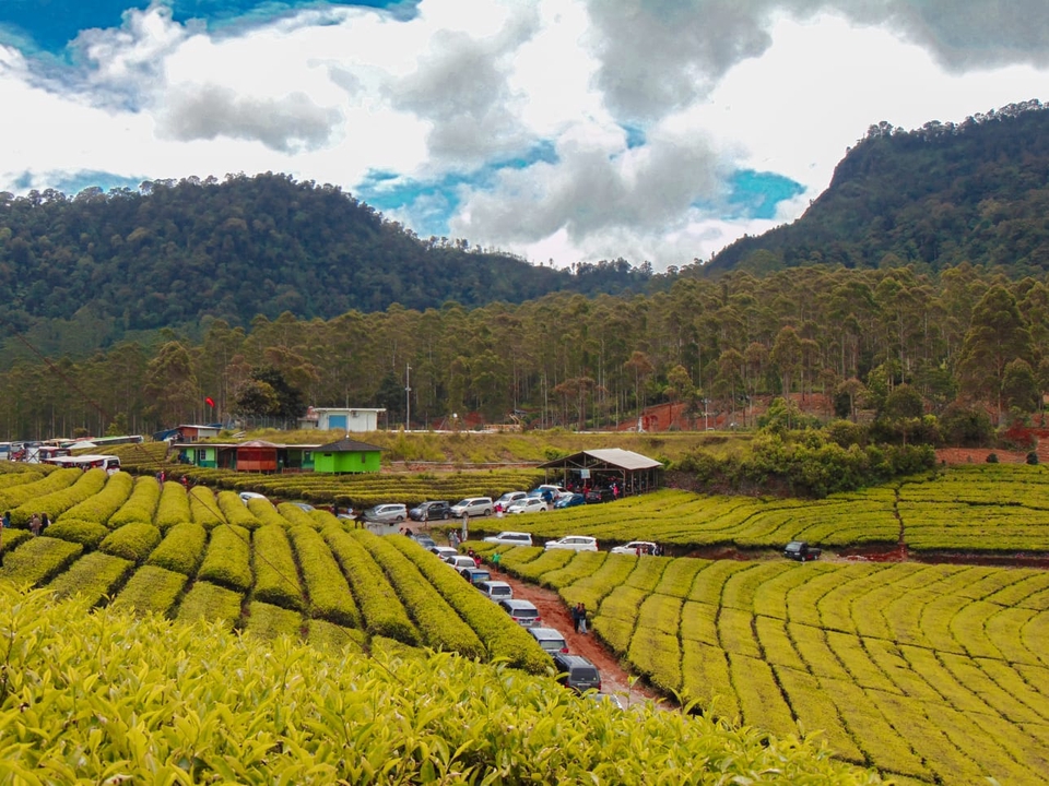 Edit Gambar & Photoshop - jasa edit efek lightroom instan - 6