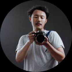 dimput