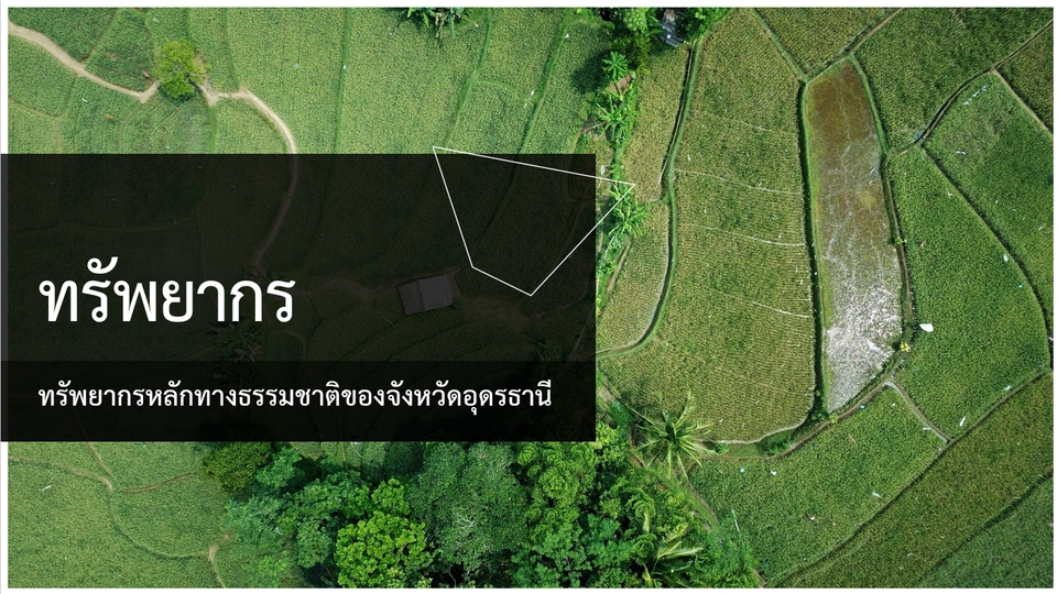 รับทำ Presentation powerpoint&canva