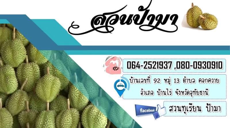 สื่อสิ่งพิมพ์และนามบัตร - ออกแบบ สื่อ สิ่งพิมพ์ต่างๆ - 3