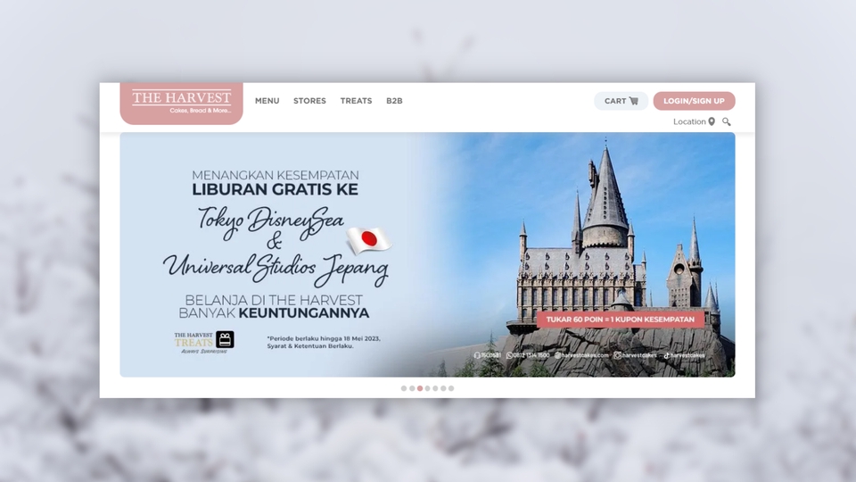 Web Development - Website WordPress Landing Page, Toko Online, Real Estate, Affiliate Marketing, Company Profile - 5
