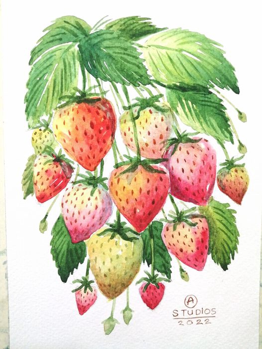 วาดภาพประกอบ - วาดภาพสีน้ำอาหารและเครื่องดื่ม - 6