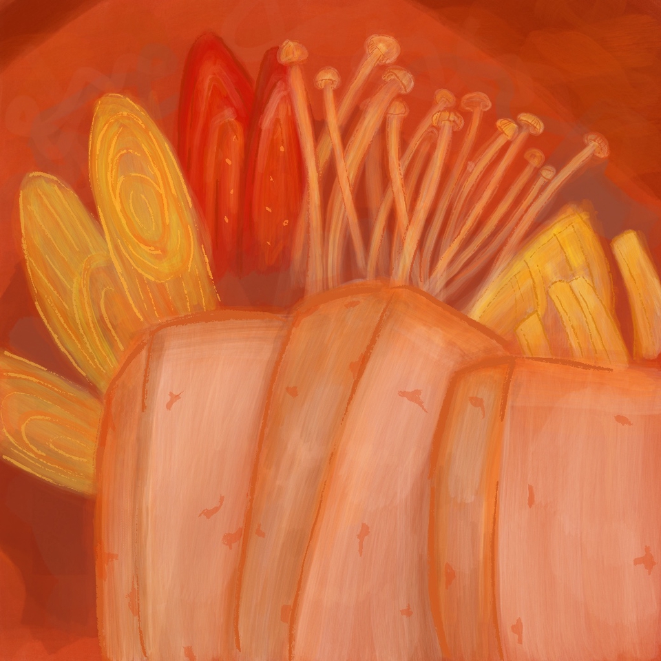 รับวาดรูป ภาพประกอบ สไตล์การ์ตูน สีสันสดใส สวยงาม