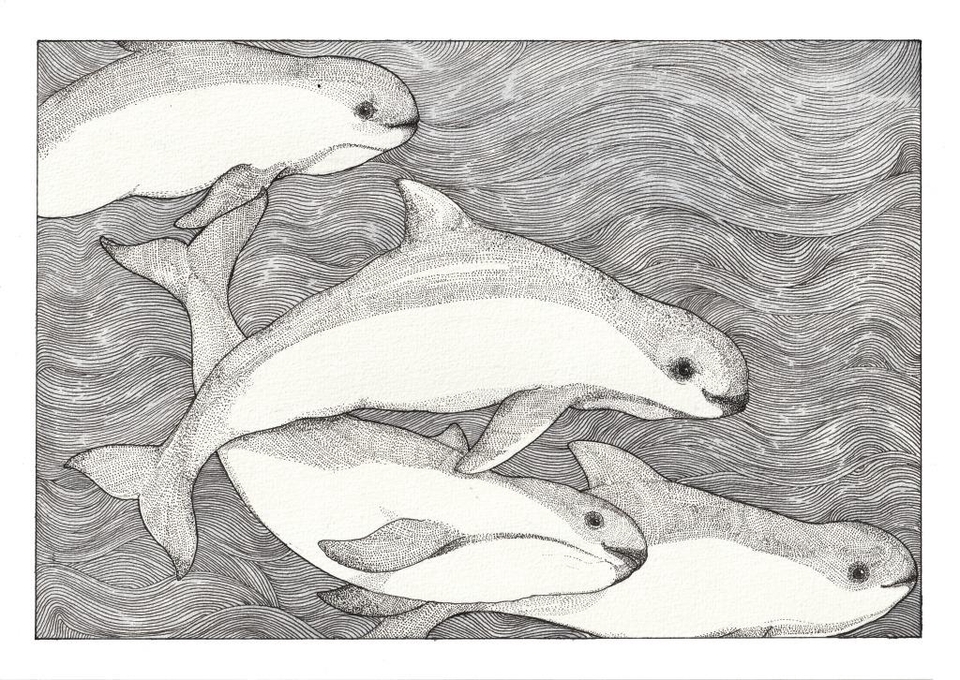 Gambar dan Ilustrasi - Ilustrasi Hewan Hitam Putih - 4