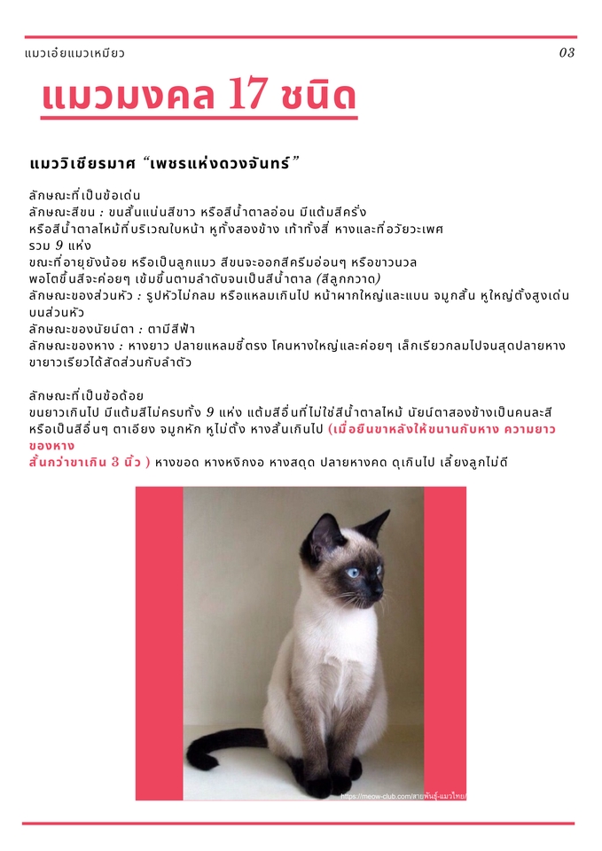 รับพิมพ์งาน รับคีย์ข้อมูล รับแปลงไฟล์ pdf รับจัดรูปเล่มรายงาน รับทำ excel รับทำสูตร excel พนักงานคีย์ข้อมูล