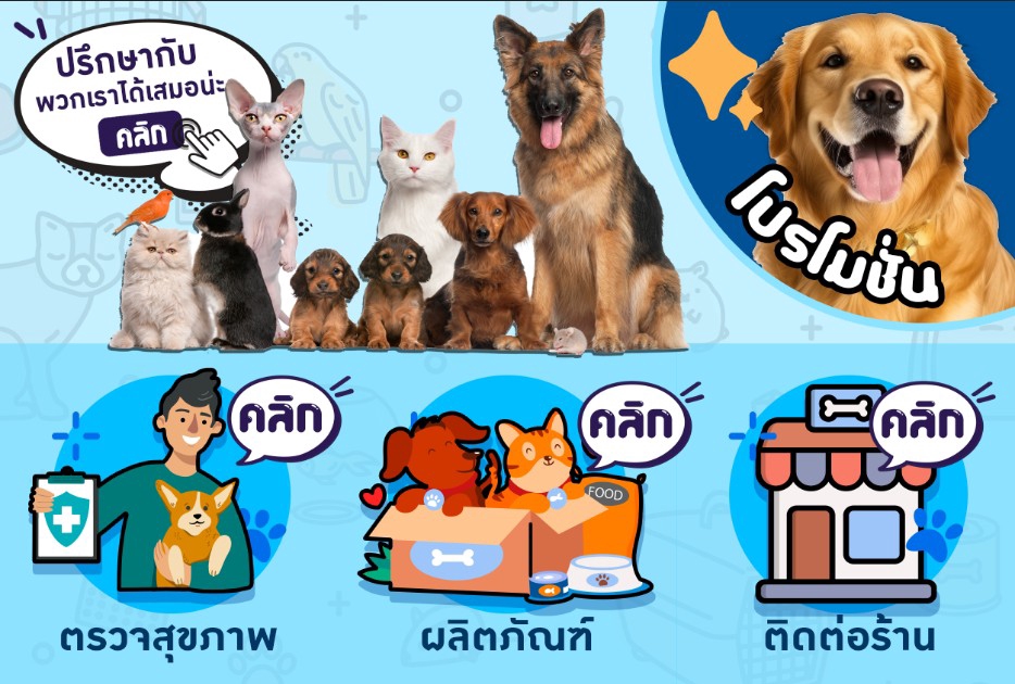 Banner โฆษณา - สร้าง rich menu ใน Line account + Card-based messages - 4
