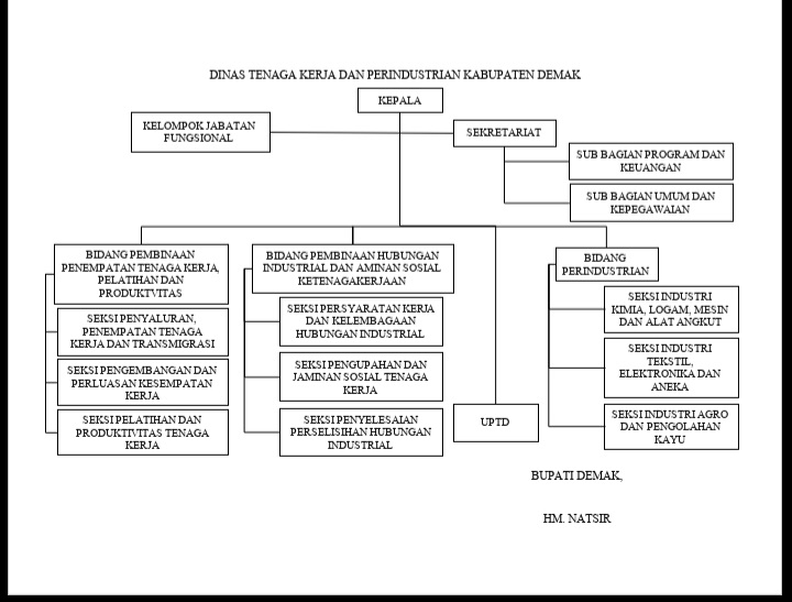 Pengetikan Umum - Pengetikan Ulang PDF, JPG Ke DOC, Cepat, Rapi, Akurat & Detail - 5