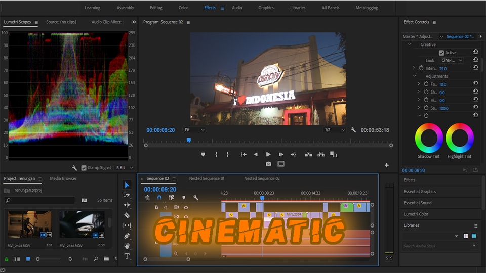 Video Editing - Profesional Editing, membuat video anda yang BIASA menjadi LUAR BIASA ! - 2