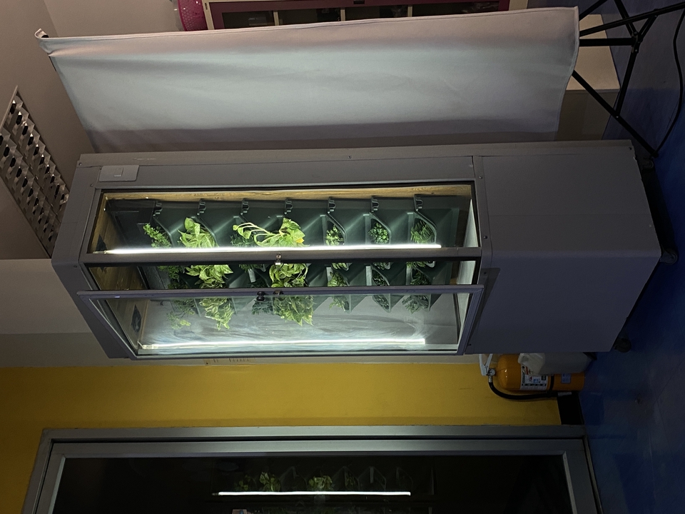 รับทำโปรเจค IoT ระบบปลูกผักอัตโนมัติ