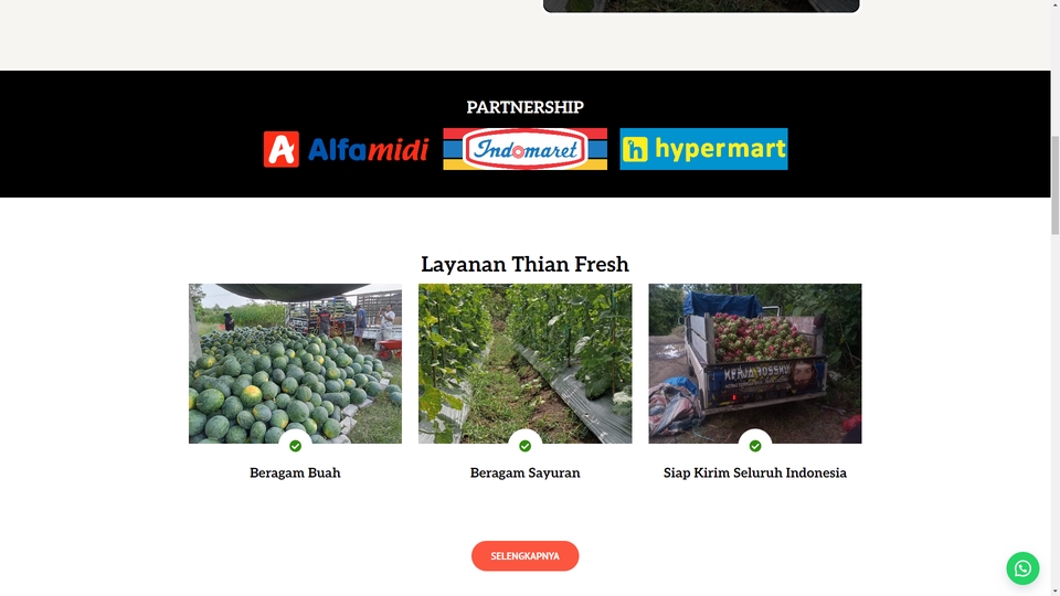 Web Development - Jasa Pembuatan Website Compro, Toko Online dan LandingPage (Wordpress) - 15