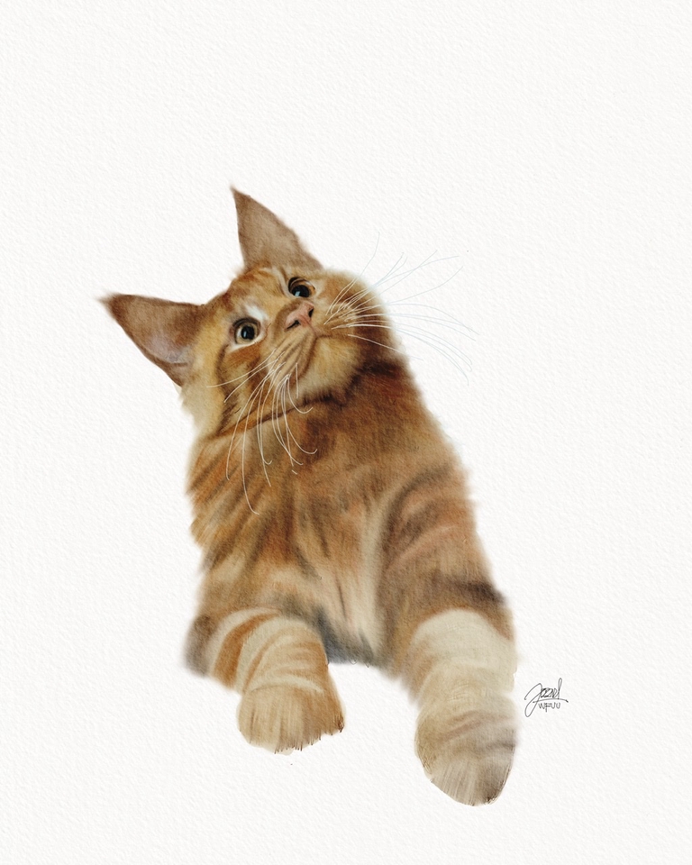 Gambar Potret - Realistic Watercolor pet portrait - 2