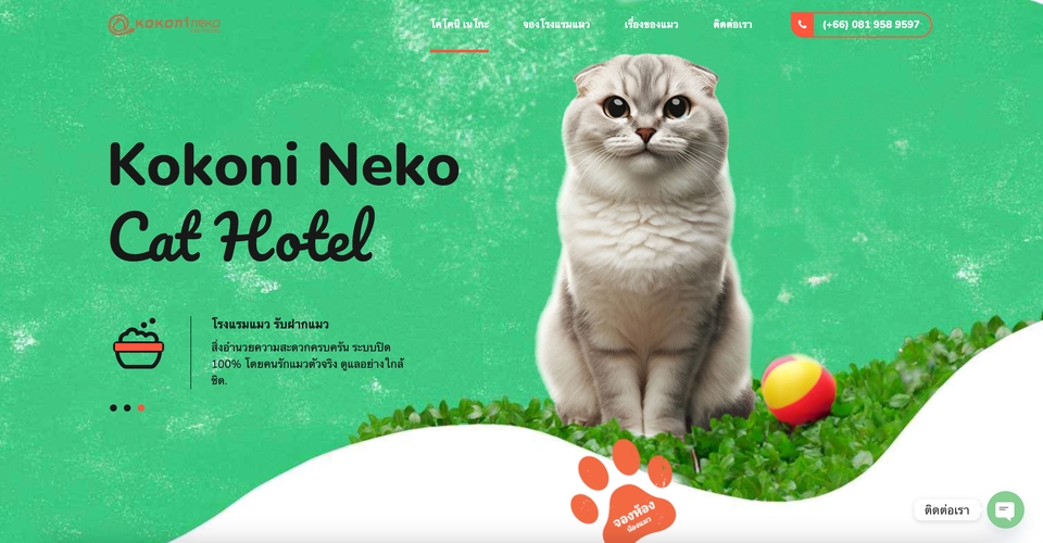 Wordpress - รับทำเว็บไซต์ด้วย WordPress ใช้ Theme Lisense แท้ รองรับ SEO ที่ดีขึ้น พร้อม Domain และ Hosting - 2