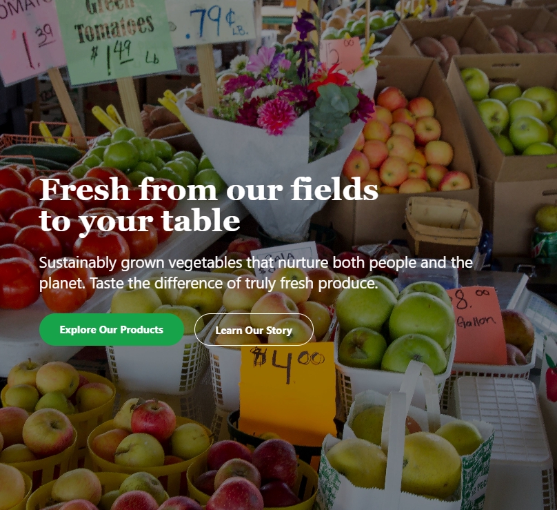 Jasa pembuatan website toko online, website company profile, harga website murah dan profesional. Desain website responsive.