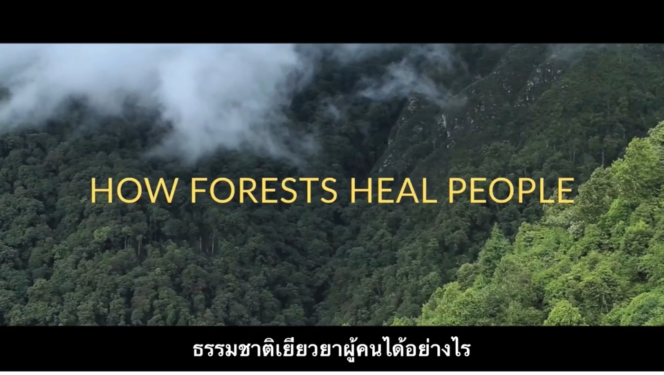 Subtitle - รับใส่ Subtitles จาก CapCut - 8