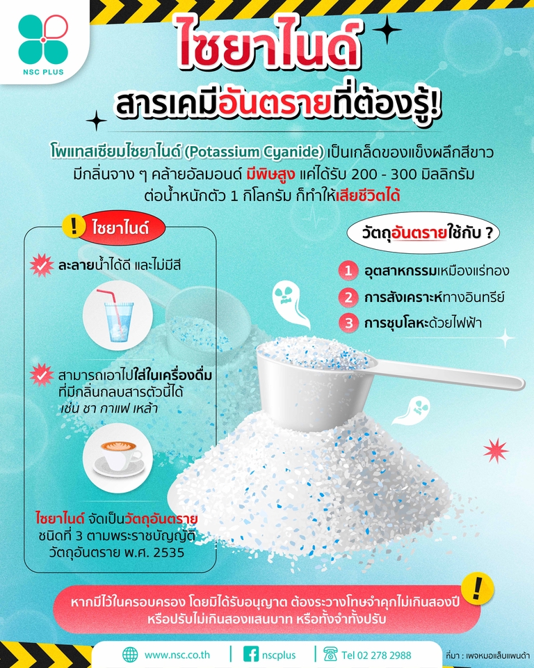 Infographics - รับออกแบบ Infographic และสื่อต่าง ๆ สไตล์น่ารัก ตรงตามบรีฟ ราคาเป็นกันเองค่า 🙇🏻♀️🫶🏻 - 13