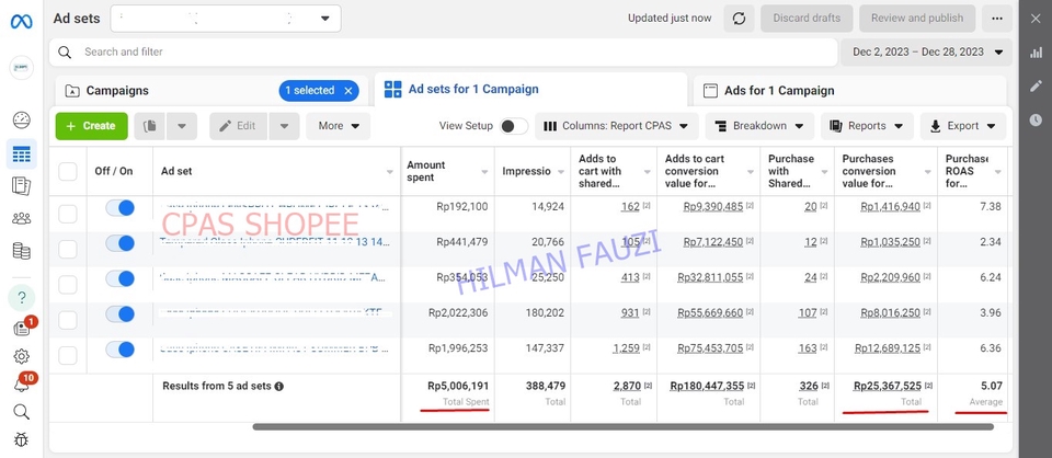 Digital Marketing - Jasa Iklan FB Ads / CPAS, Google Ads, Tiktok Ads - Analisa, Evaluasi & Konsultasi Metriks Iklan - 4