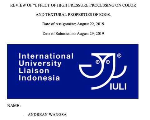 Penerjemahan - Jasa Translator (Inggris, Indonesia, Jerman), Proofreader (Inggris), Jasa Ketik, Penulisan Sub Judul - 10