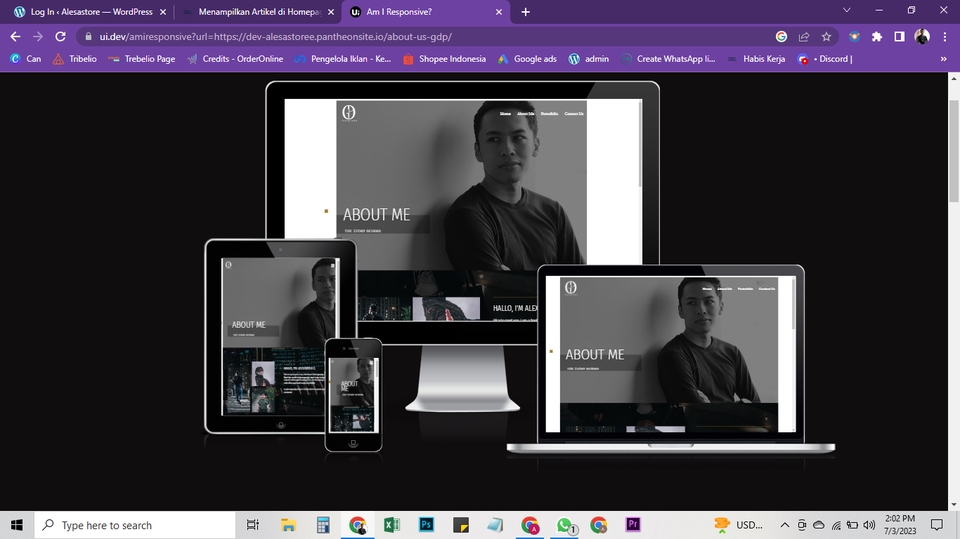 Web Development - Web Development Word Press, - 11