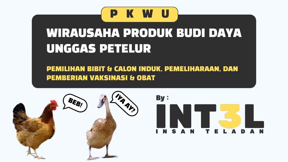 Jasa pembuatan presentasi power point untuk usaha budidaya unggas petelur. Pembuatan slide presentasi dengan desain powerpoint yang profesional dan menarik.
