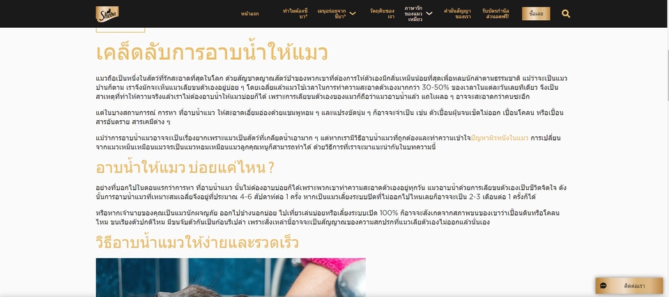 เขียนบทความ - รับเขียนบทความ SEO เพิ่มโอกาสติดหน้า 1 ด้วยคอนเทนต์คุณภาพระดับมืออาชีพ - 7