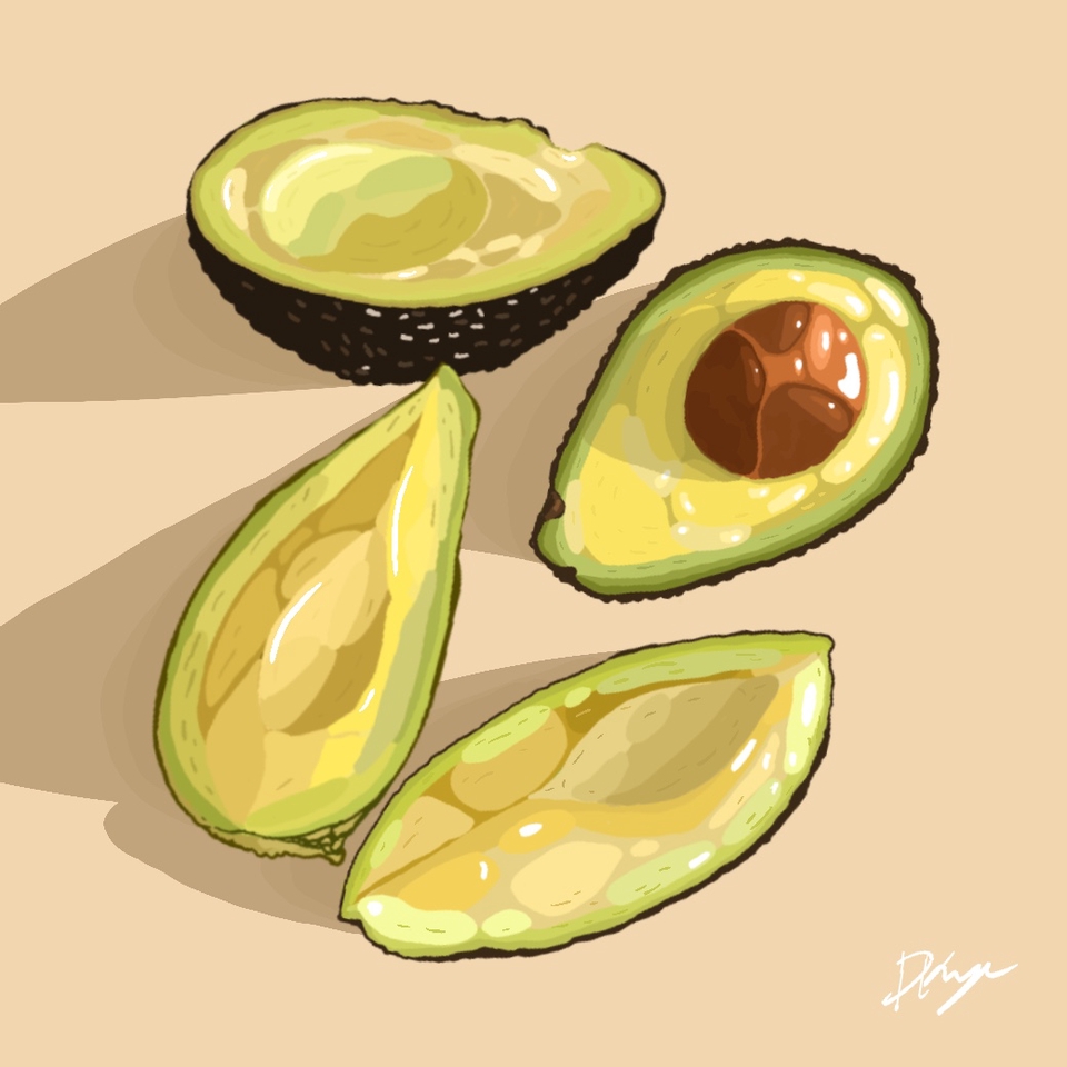 รับวาดรูปภาพประกอบ อโวคาโด ผลไม้ วาดภาพประกอบผลไม้ อาหาร