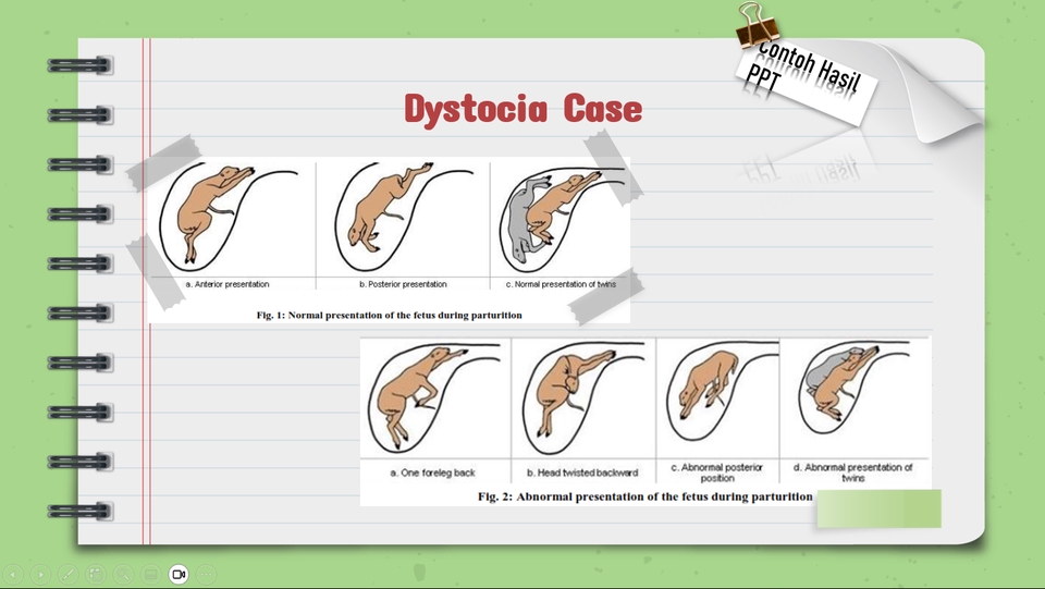 Jasa pembuatan presentasi powerpoint, contoh presentasi dystocia pada hewan, presentasi kasus dystocia, presentasi kasus dystocia hewan, dystocia, presentasi powerpoint dystocia, jasa desain ppt, desain powerpoint dystocia, jasa desain presentasi dystocia.