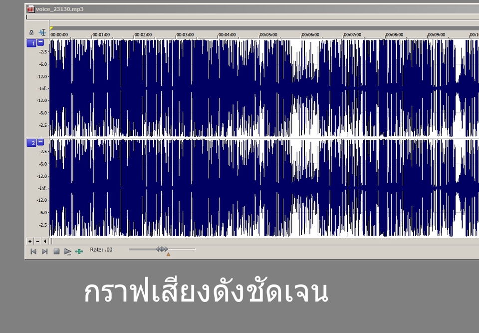 Voice Over - อ่านข่าว บรรยายประกอบ พากย์เสียง - 3