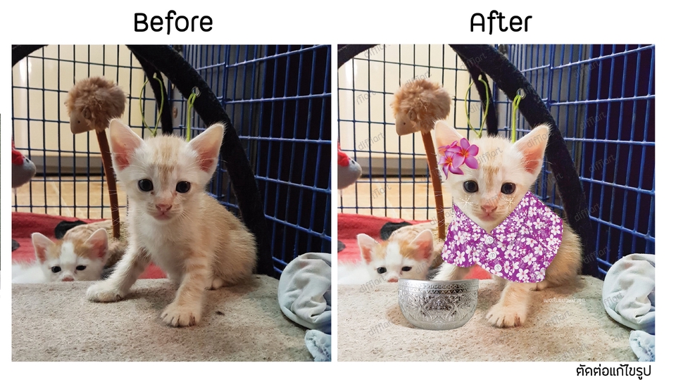 ไดคัท & Photoshop - Di-cut รีทัช ซ่อมภาพ - 2