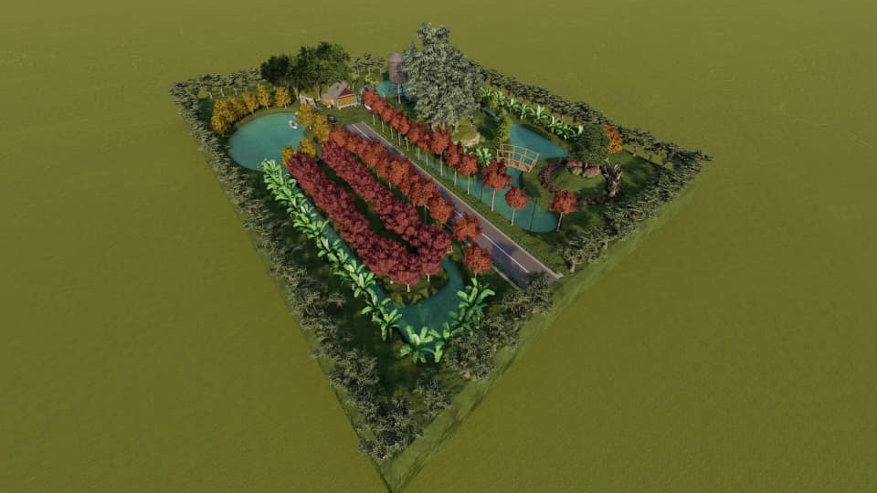 ออกแบบภูมิทัศน์และตกแต่งสวน - ออกแบบพื้นที่และจัดสวน - 4