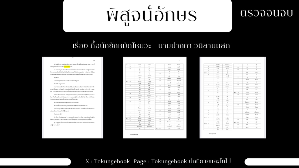 พิสูจน์อักษร - พิสูจน์อักษรและจัดหน้าหนังสือ นิยายEbook - 8