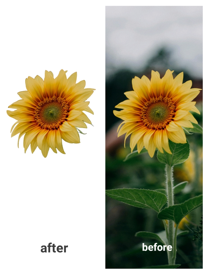 Jasa edit foto online, edit background foto online, hapus background, ganti background foto online, edit foto produk, jasa photoshop online.