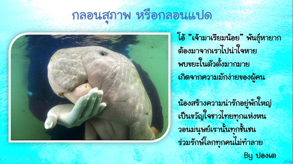 เขียนนิยาย / เรื่องสั้น - รับแต่งกลอน โคลง กาพย์ - 2