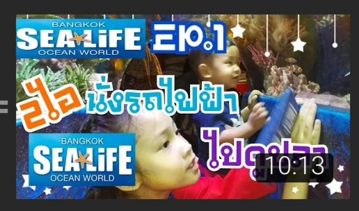 รับเขียนรีวิว สถานที่ท่องเที่ยว ซีไลฟ์ โอเชี่ยน เวิลด์ กรุงเทพ