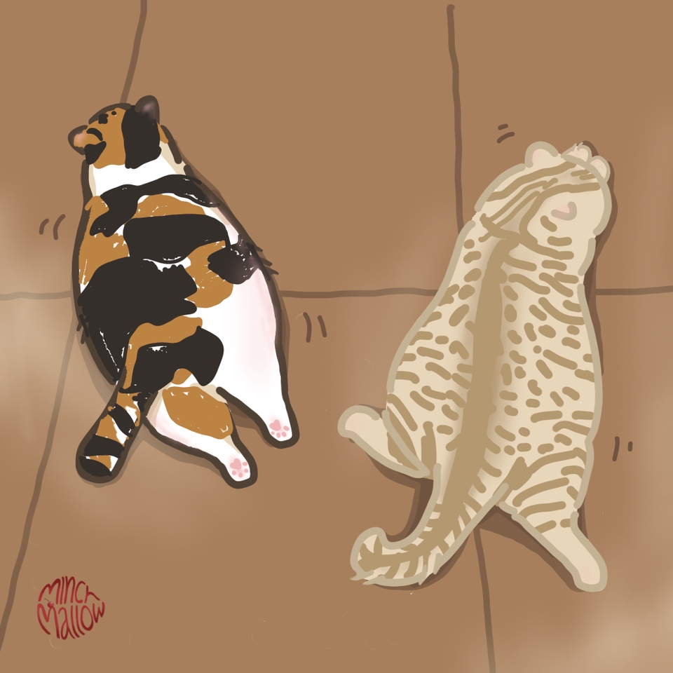 วาดภาพการ์ตูน - การ์ตูนน้องแมว - 22