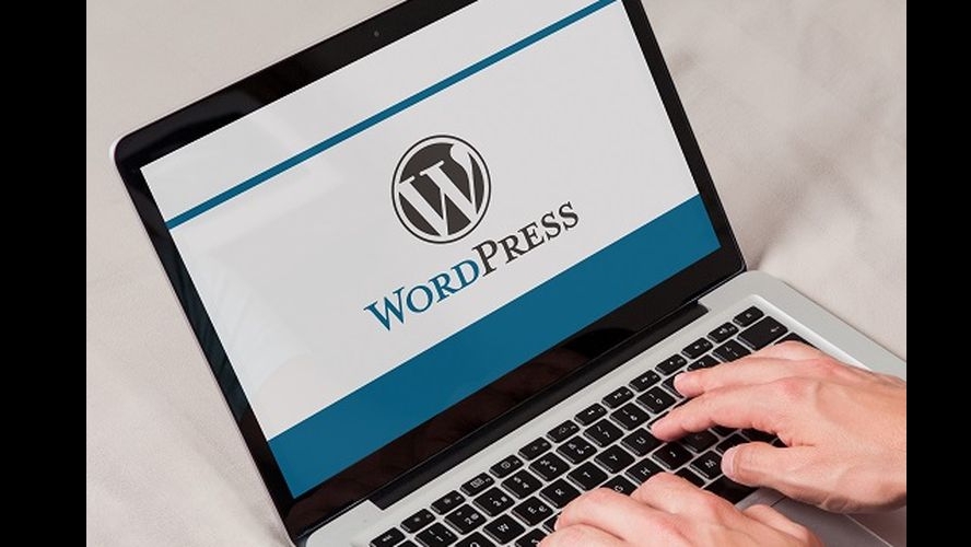 Jasa Lainnya - Admin Wordpress (Jasa Update Halaman/Artikel, Pembuatan Landing Page, Setup Plugin SEO) - 2